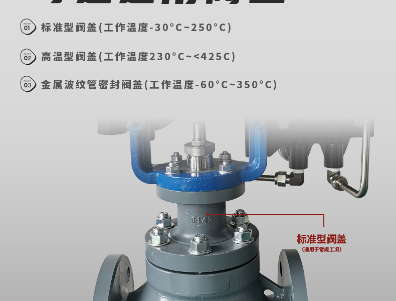 氣動(dòng)籠式調(diào)節(jié)閥-首龍_14.jpg
