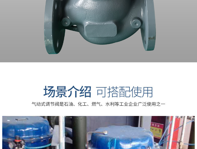 氣動(dòng)籠式調(diào)節(jié)閥-首龍_15.jpg